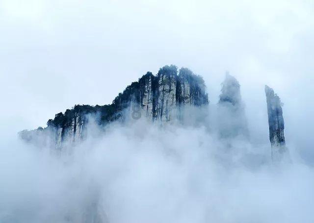 不吃海鱼没关系,鲈鱼等淡水鱼补DHA也不差,强烈推荐!
