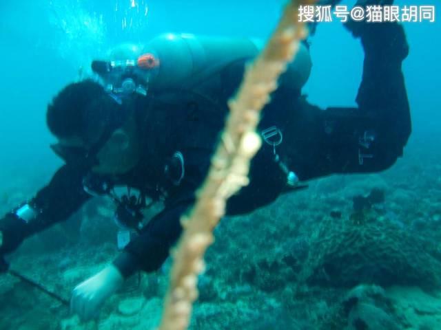 滨城日历 | 今日启动应急响应 | 这条道路竣工 | 汽配供应链头部企业甲乙丙丁落子东疆