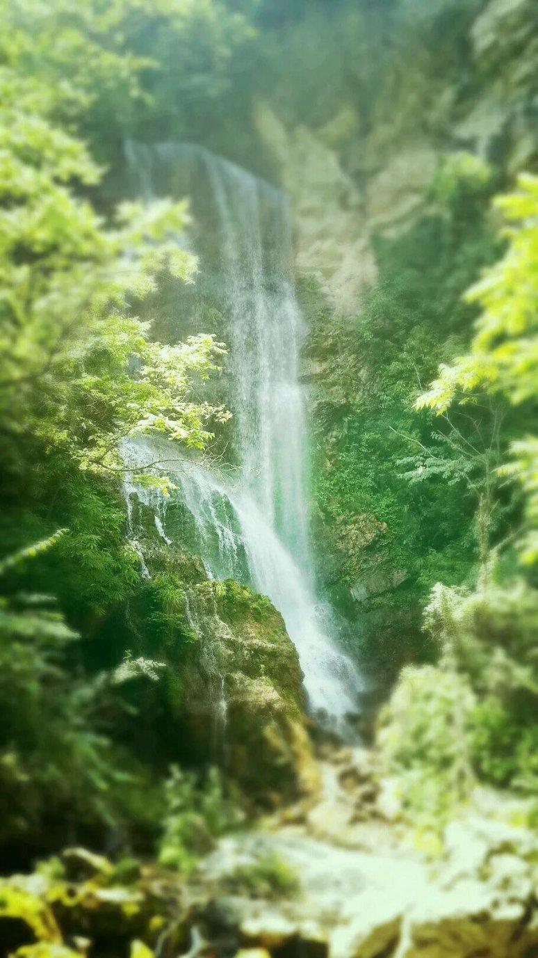 梦想的后院